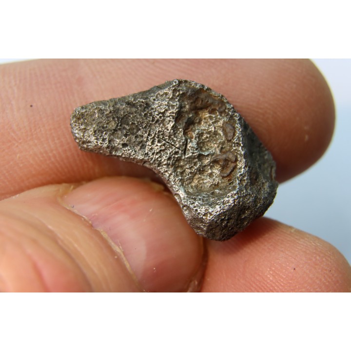 Météorite AGOUDAL IMILCHIL - Morocco