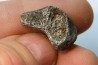 Météorite Agoudal Imilchil - Maroc