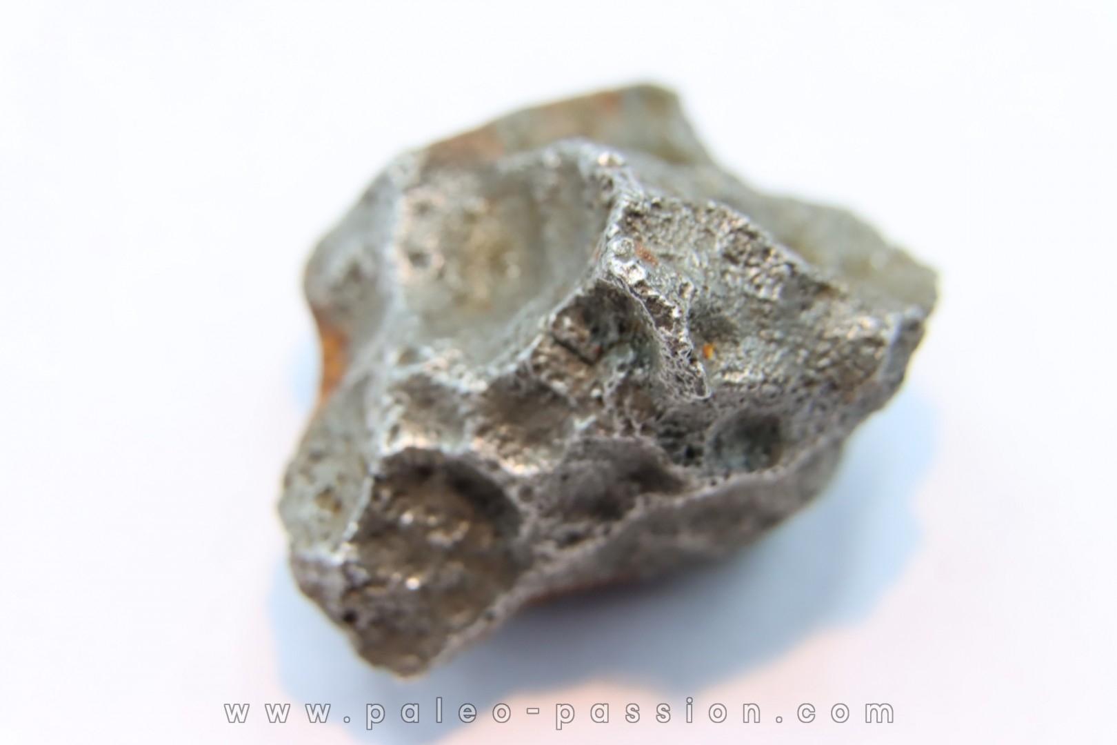 Météorite AGOUDAL IMILCHIL - Morocco