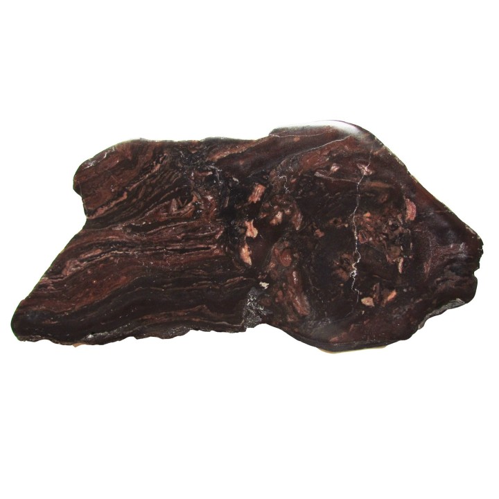 Stromatolithe - Missouri (1)