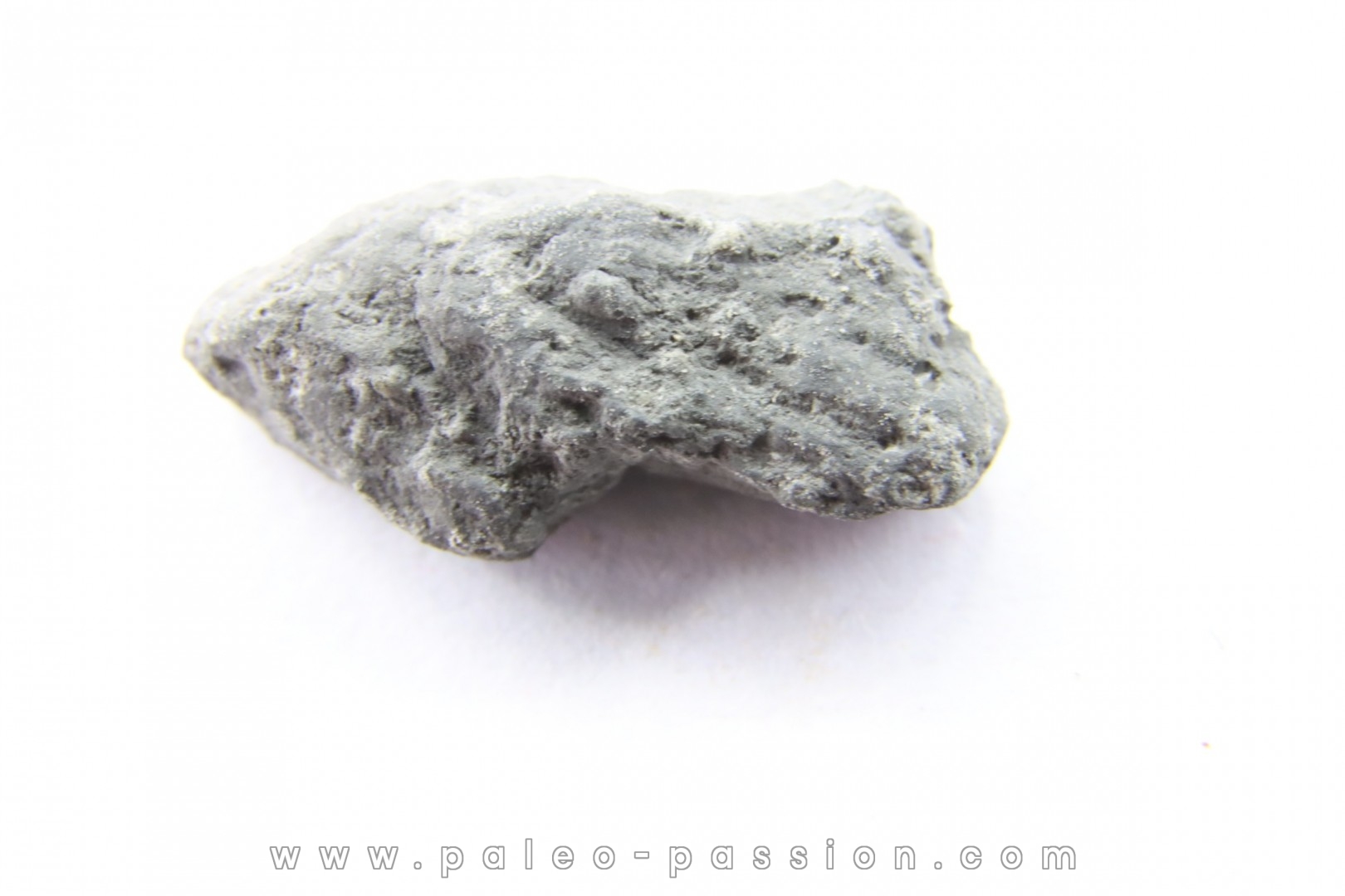 METEORITE CARBONEE ALLENDE - MEXICO