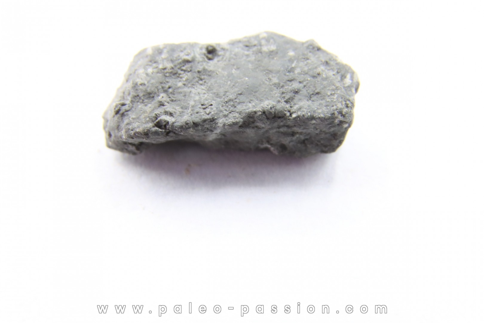 Météorite Carbonée ALLENDE - Mexique