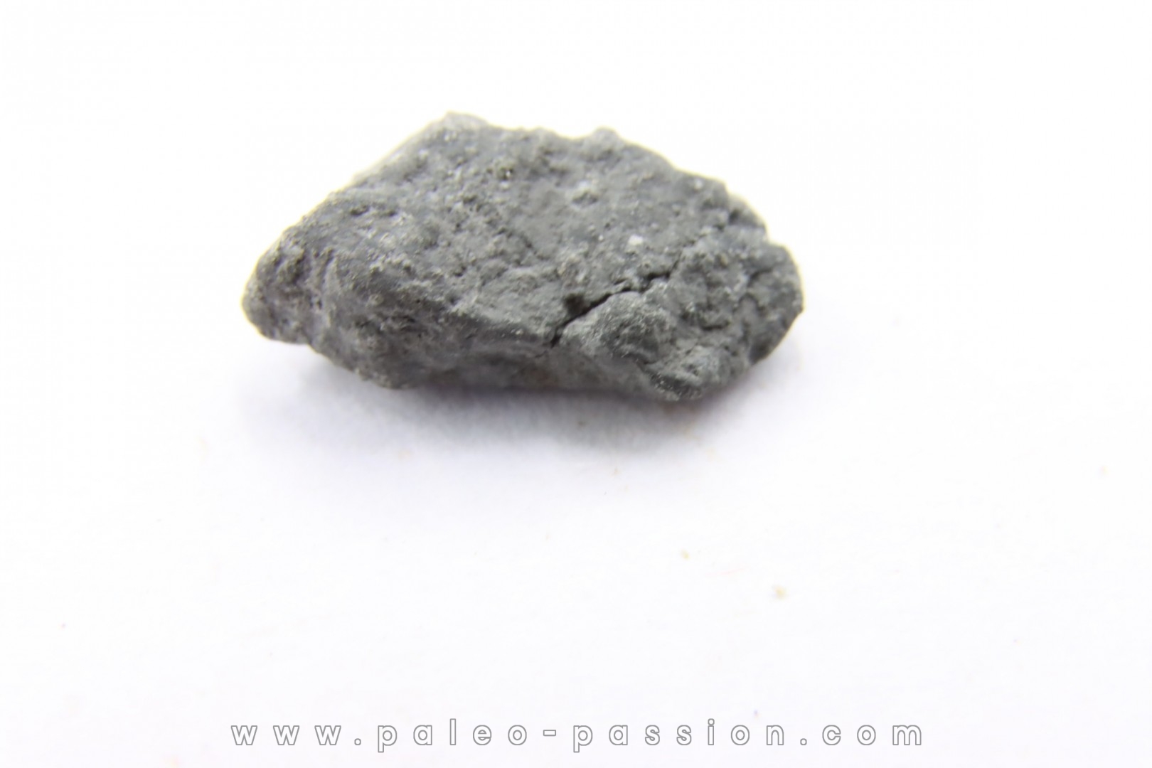 Météorite Carbonée ALLENDE - Mexique
