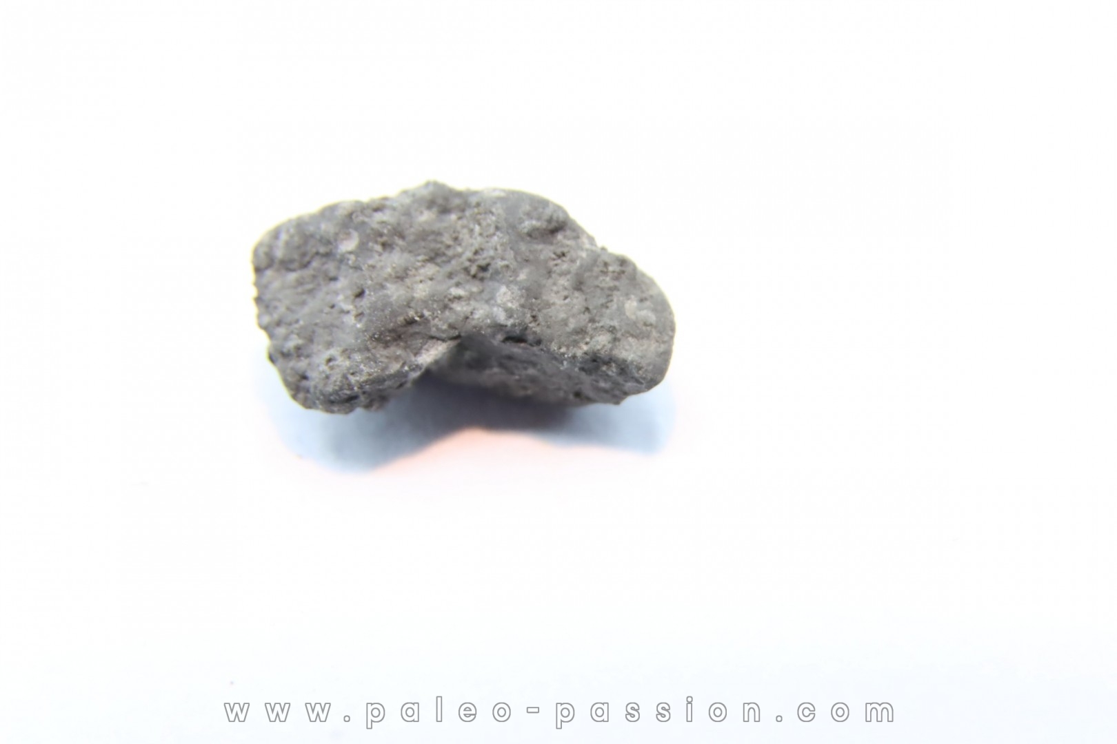 Météorite Carbonée ALLENDE - Mexique