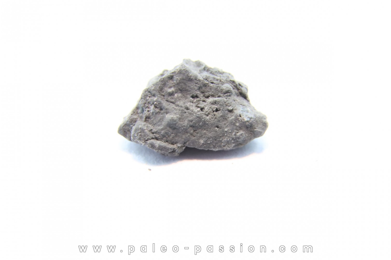 Météorite Carbonée ALLENDE - Mexique