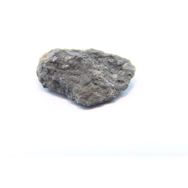 Météorite Carbonée ALLENDE - Mexique