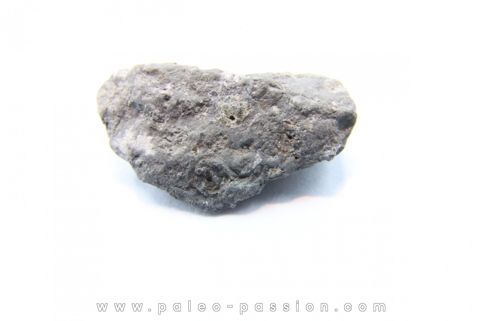 Météorite Carbonée ALLENDE - Mexique