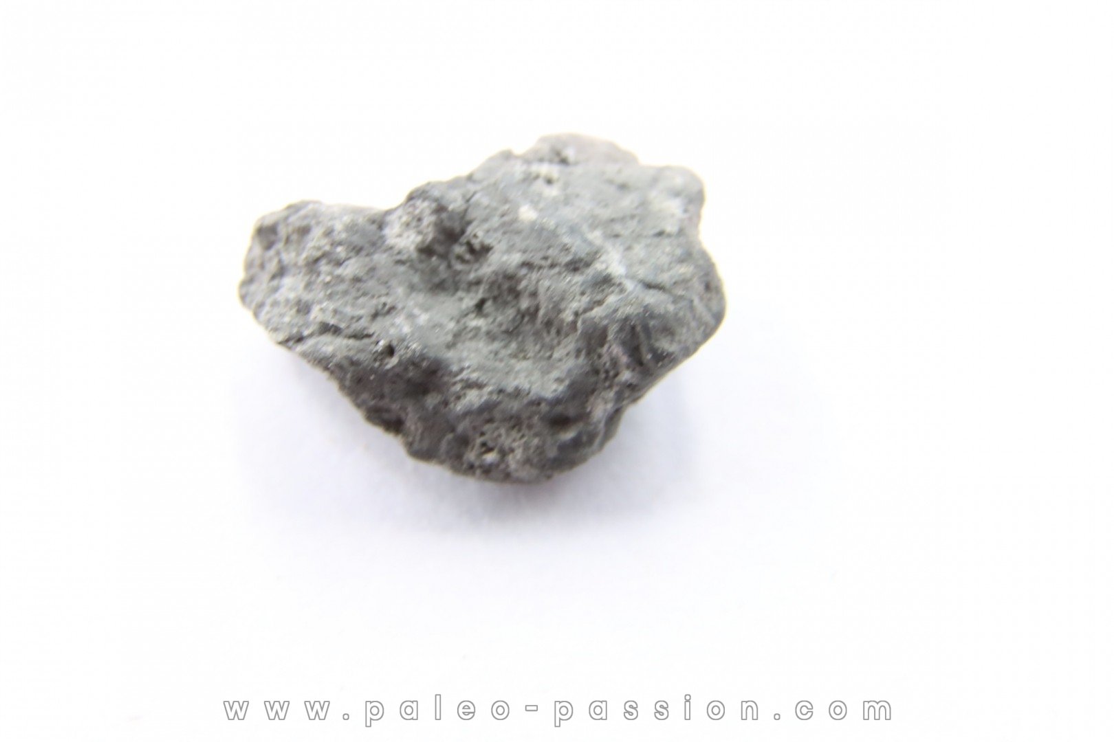 Météorite Carbonée ALLENDE - Mexique