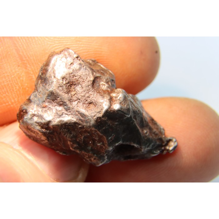 Météorite SIKHOTE ALIN - Russie