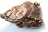 METEORITE SIDERITE SIKHOTE ALIN (7)