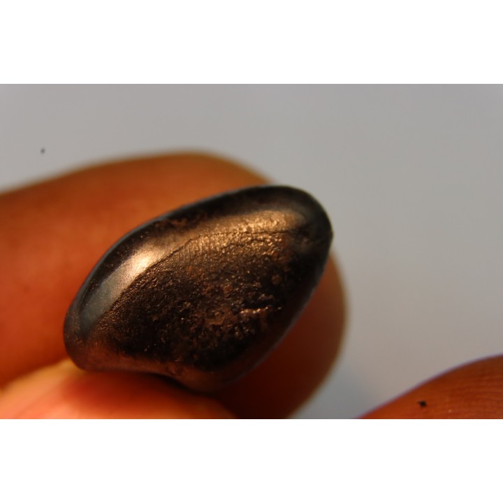 METEORITE SIDERITE SIKHOTE ALIN (7)