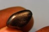 METEORITE SIDERITE SIKHOTE ALIN (7)