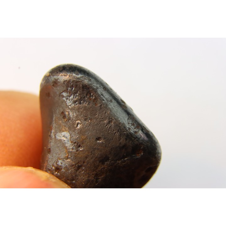 METEORITE SIDERITE SIKHOTE ALIN (7)