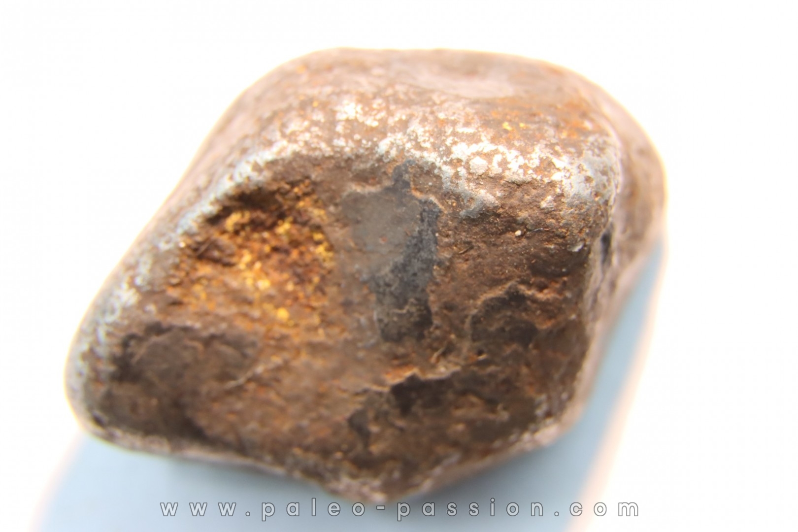 METEORITE SIDERITE SIKHOTE ALIN (7)
