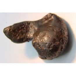 Météorite orientée: SIKHOTE ALIN - Russie