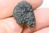 Tectite: Moldavite - République Tchéque
