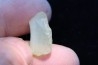 TECTITE: Libyan glass - ARTIFACT