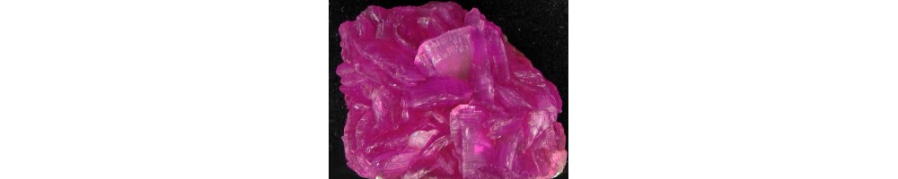 Carbonates
