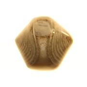 When minerals meet fossils