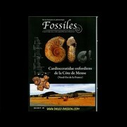 REVUE "fossiles"