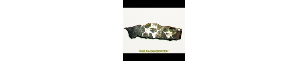 Pallasites