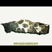 Pallasites