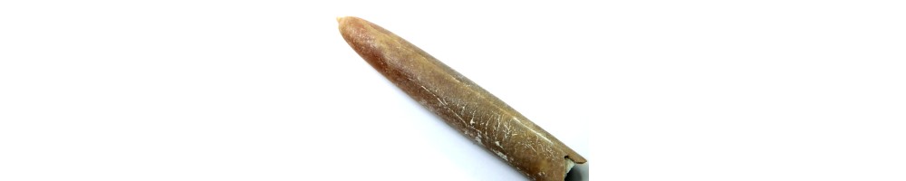 BELEMNITE