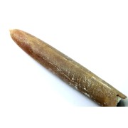 BELEMNITE