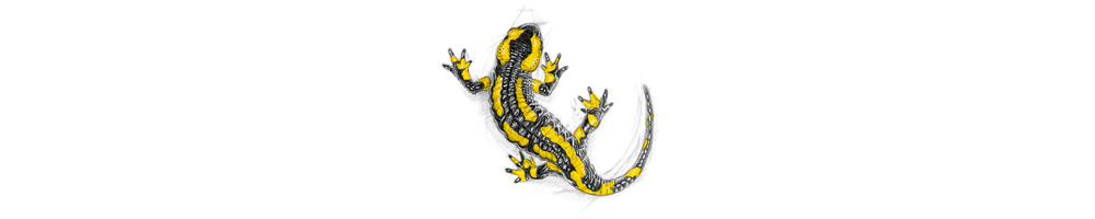 Amphibien