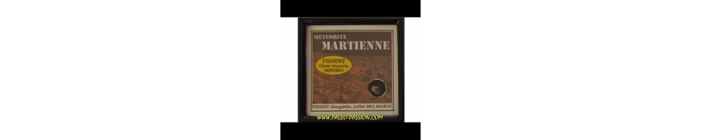 Martienne